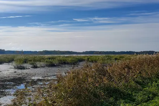 Field trip around Nemunas river