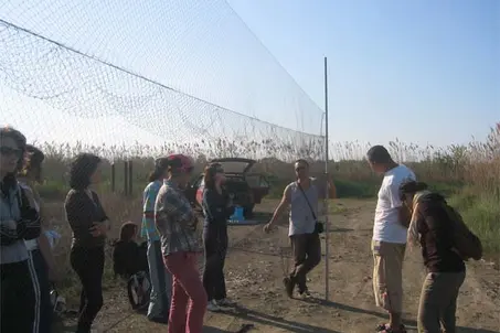 Training in bird-ringing