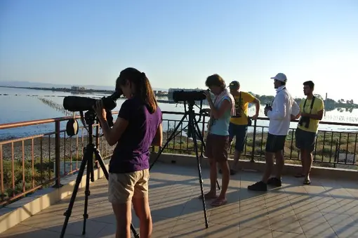 Morning bird watching - abundant, thanks to the autumn migration.