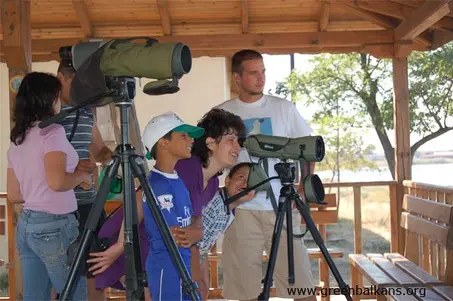 Ornithological lessons