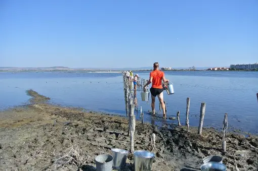 Day 2 - carrying buckets with substrate.