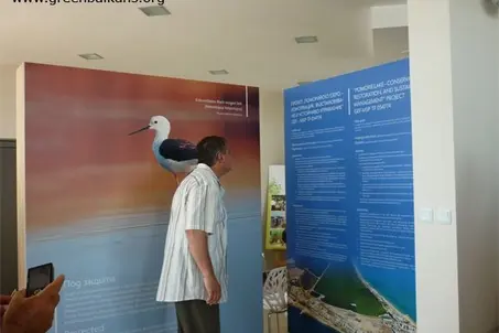 The exhibition hall