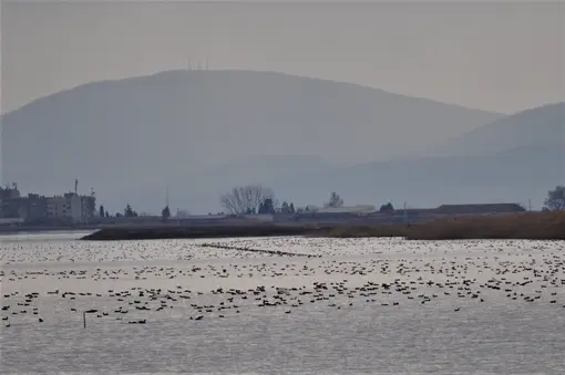 Поморийско езеро.