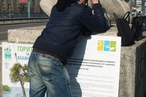 ...удобен повод да се насладим на птичето богатство на Марица