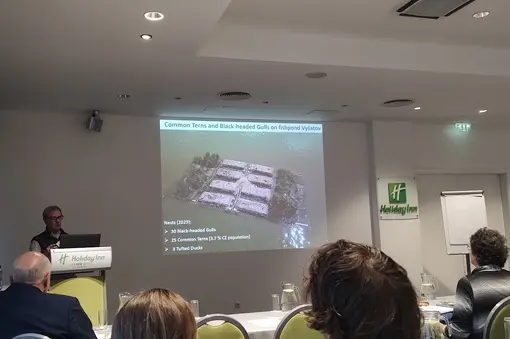 International meeting on the conservation of terns