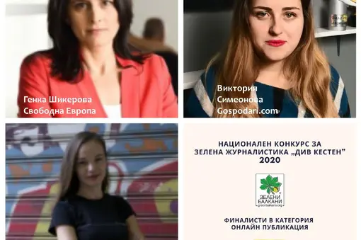 Online media category finalists