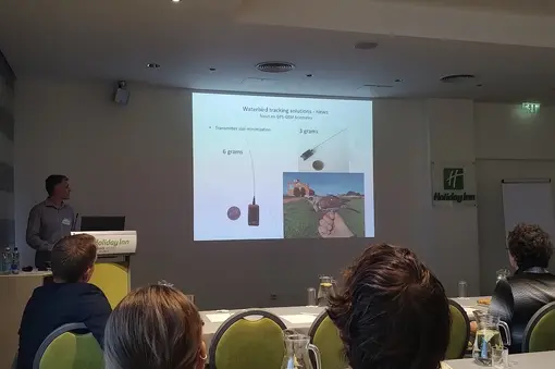 International meeting on the conservation of terns