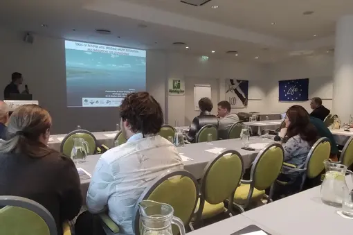 International meeting on the conservation of terns