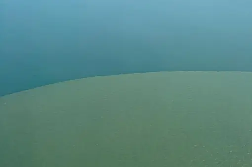 The impressive delta of Danube River from the air