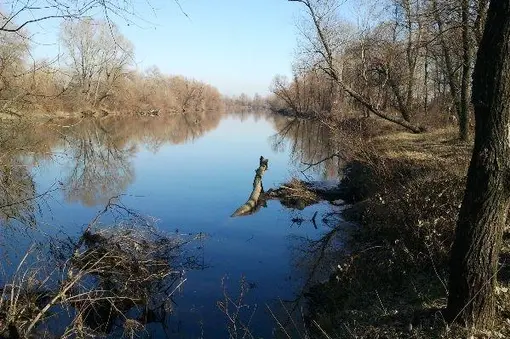 ...и прекрасните гледки!...