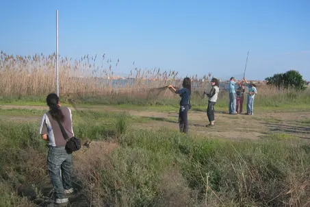 Training in bird-ringing