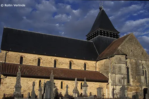 Many bat colonies dwell in old churches.