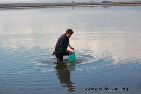 Research of the hydrology and biology of the lake
