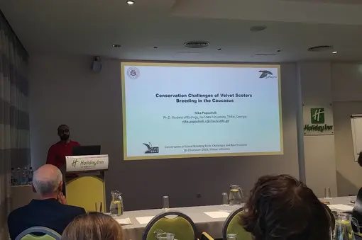 International meeting on the conservation of terns
