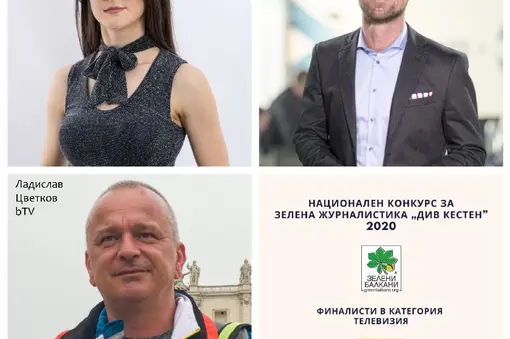 TV category finalists