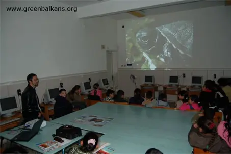 Presentation about reptiles