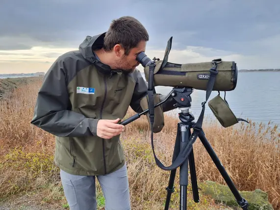Monitoring of birds