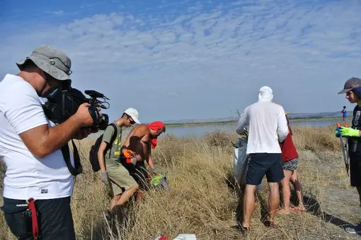 Removal of invasive vegetation - how and why.