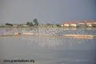 Първа снимка