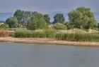 Първа снимка