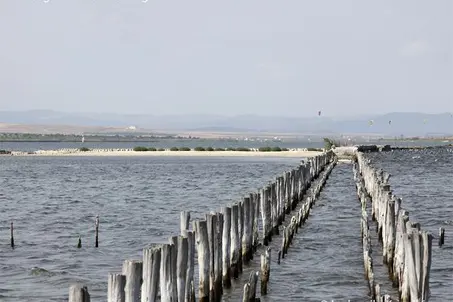 The island of the Sandwich Terns