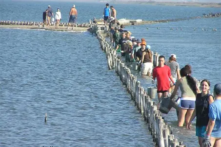 Working holiday at Pomorie lake