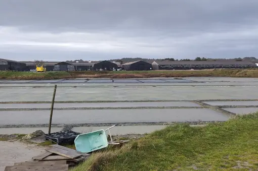 Salt pans in Guerande