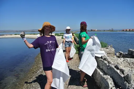 At work ... We head to the small island to remove excess vegetation.