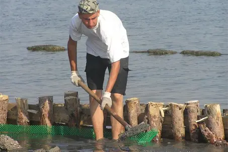 Working holiday at Pomorie lake