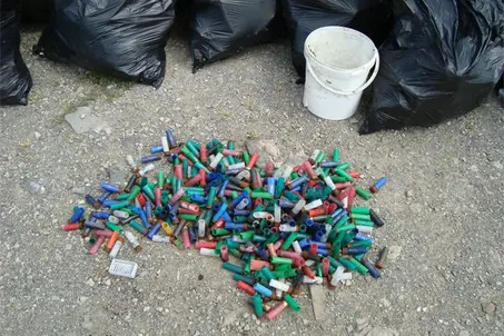 Hundreds of cartridges gathered in the protected zone