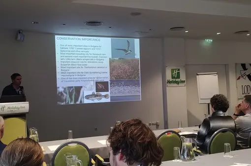 International meeting on the conservation of terns