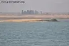 Първа снимка
