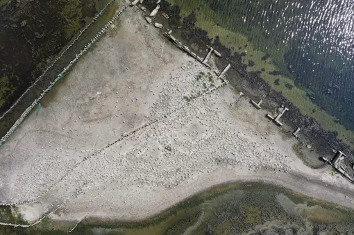 The islet from a bird point of view