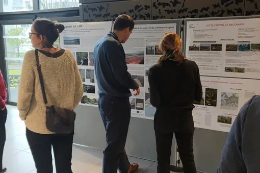 Presentation of the Poster of Association