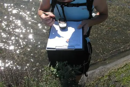 Research and monitoring of the birds