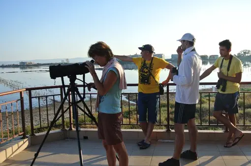 Morning bird watching - abundant, thanks to the autumn migration.