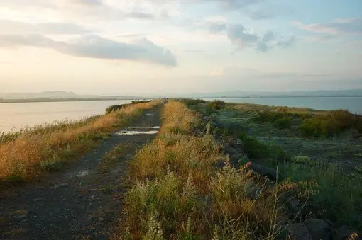 The dunes of Pomorie Lake