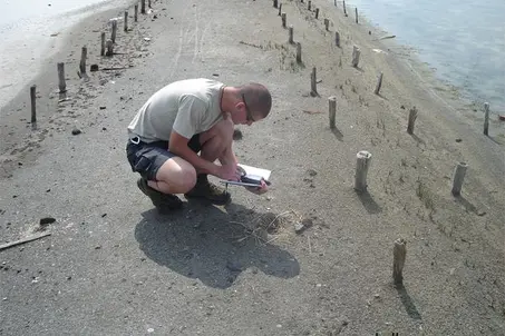Research and monitoring of the birds