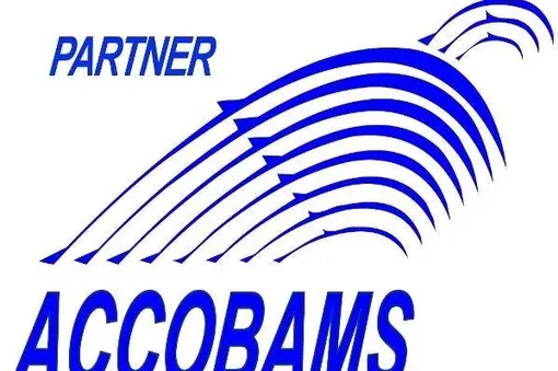 Green Balkans are official partners of the ACCOBAMS