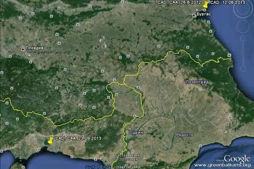 Карта на наблюденията на гривеста рибарка CAD, оранжев пръстен