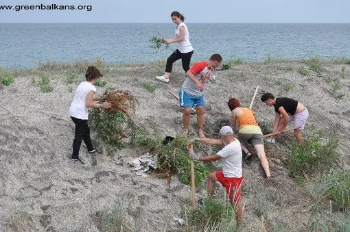 Team building