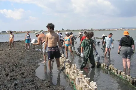 Working holiday at Pomorie lake