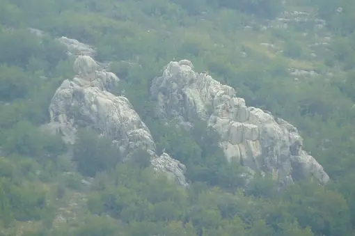 Some of the vultures in the Park.