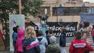 ***