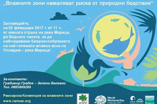 Обява за Пловдив