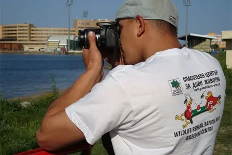 Research and monitoring of the birds