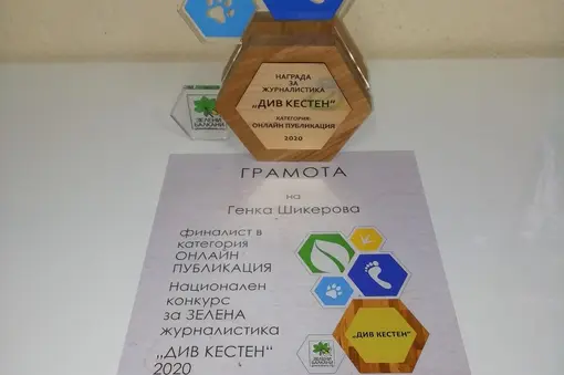 Online media category