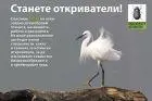 Първа снимка