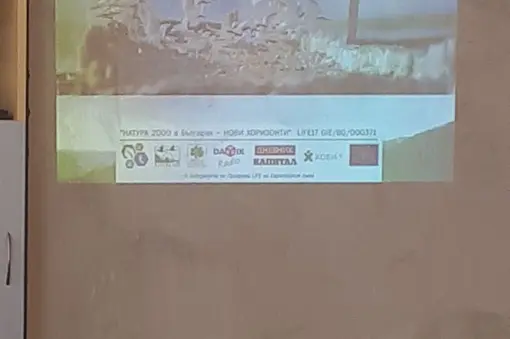 ***